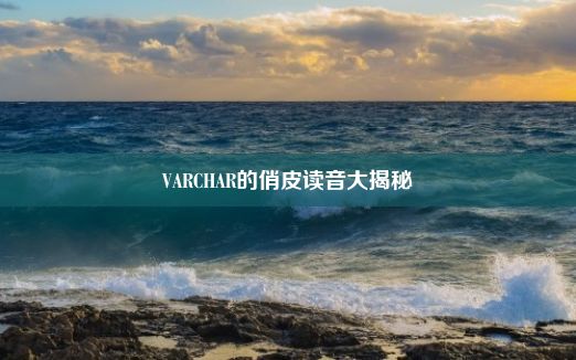 VARCHAR的俏皮读音大揭秘