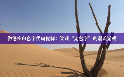 微信空白名字代码复制：笑谈“无名字”的潮流游戏