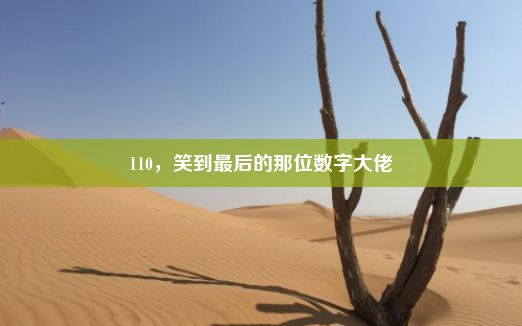 110，笑到最后的那位数字大佬