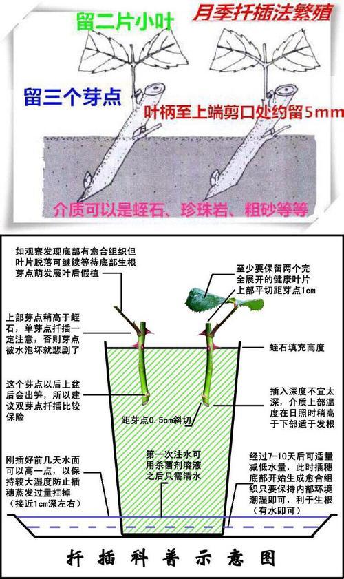 韩风狂吹，72变插法引领潮流，科技界笑翻天！