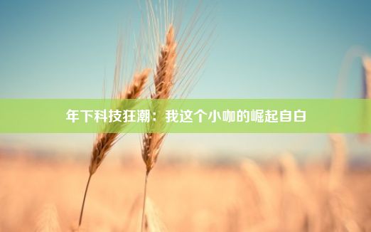 年下科技狂潮：我这个小咖的崛起自白