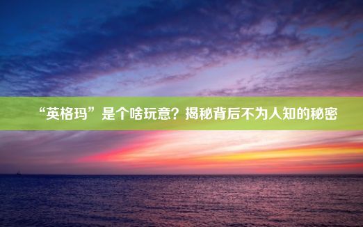 “英格玛”是个啥玩意？揭秘背后不为人知的秘密