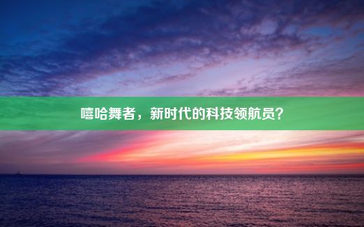 嘻哈舞者，新时代的科技领航员？