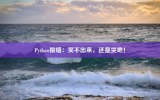 Python报错：笑不出来，还是哭吧！