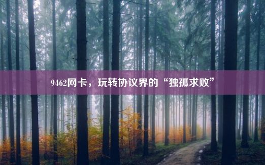 9462网卡，玩转协议界的“独孤求败”