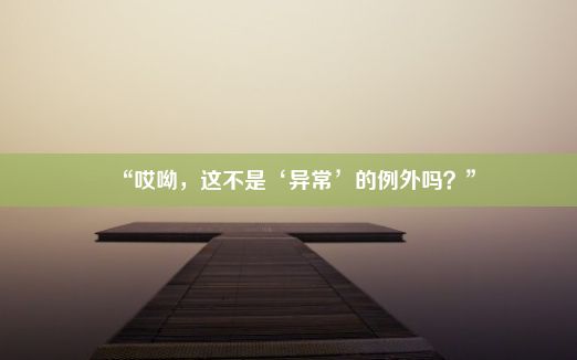 “哎呦，这不是‘异常’的例外吗？”