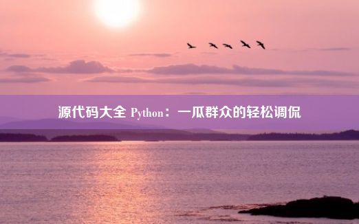 源代码大全 Python：一瓜群众的轻松调侃