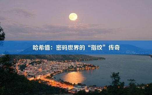 哈希值：密码世界的“指纹”传奇