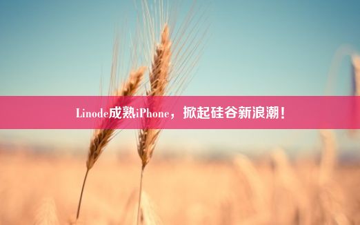 Linode成熟iPhone，掀起硅谷新浪潮！