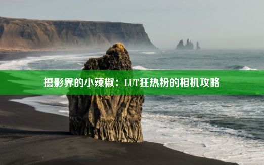 摄影界的小辣椒：LUT狂热粉的相机攻略