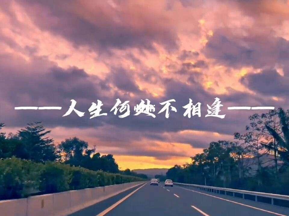 尘世科技狂想曲：雌凤求雄凰