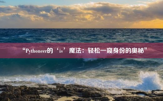 “Pythoneer的‘is’魔法：轻松一窥身份的奥秘”