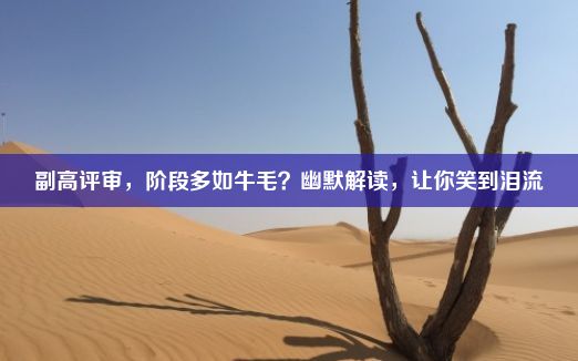 副高评审，阶段多如牛毛？幽默解读，让你笑到泪流