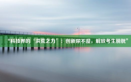 “科技界的‘洪荒之力’：创新尿不湿，解放考生膀胱”