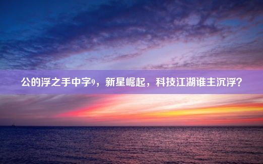 公的浮之手中字9，新星崛起，科技江湖谁主沉浮？