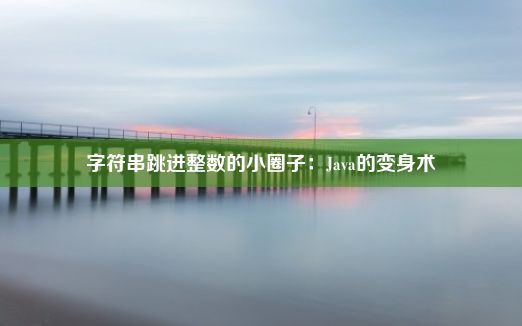 字符串跳进整数的小圈子：Java的变身术