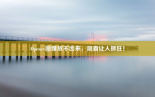 Opencv图像放不出来，简直让人抓狂！