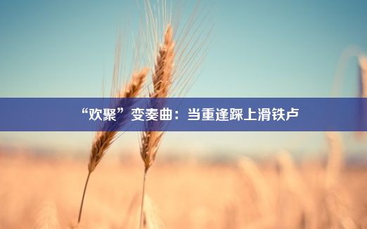 “欢聚”变奏曲：当重逢踩上滑铁卢