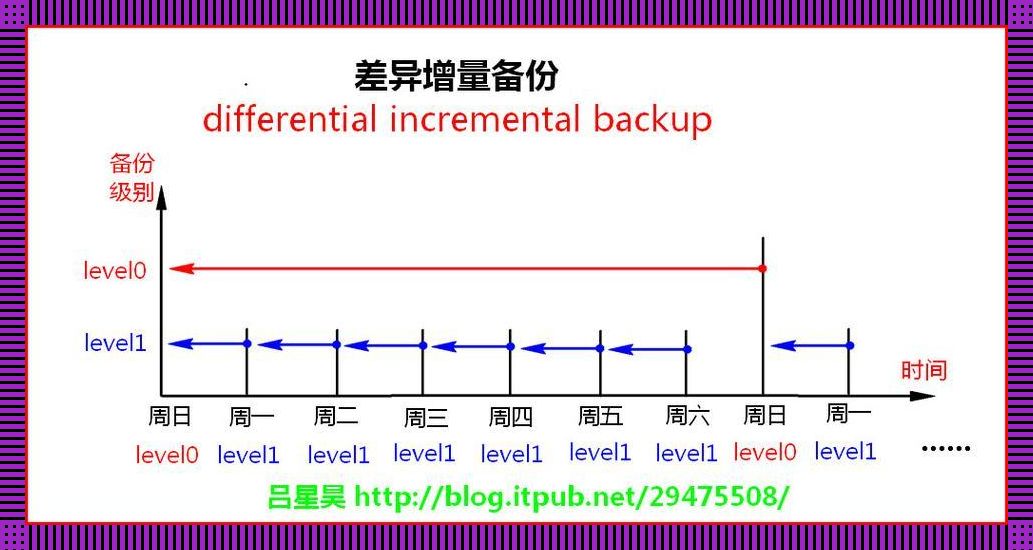 crontab每10分钟跑一次？笑死，这频率比我家那懒猫还低！