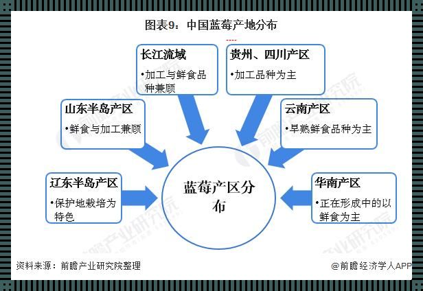 《产区图谱下的创新狂想曲：亚洲“线”疯狂》