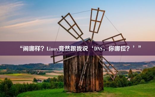 “闹哪样？Linux竟然跟我说‘DNS，你哪位？’”