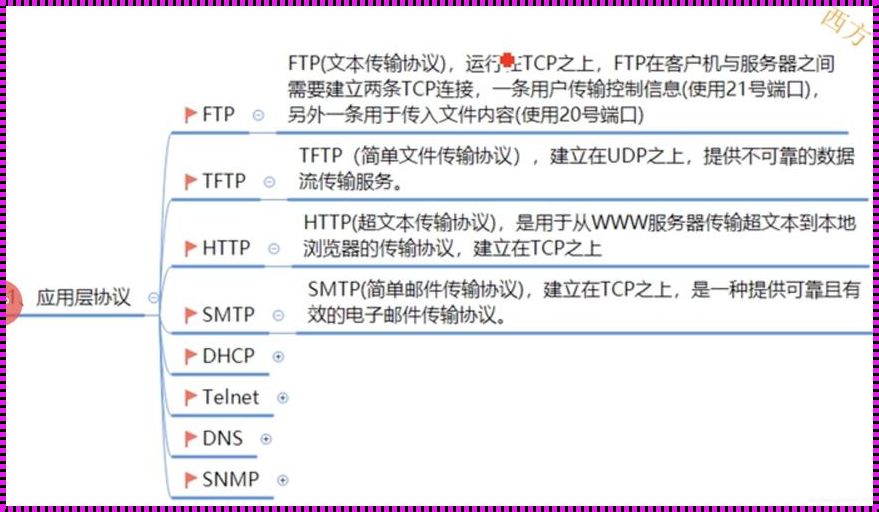 “应用层协议”与“Socket”的幽默对决：一场网络世界的江湖纷争