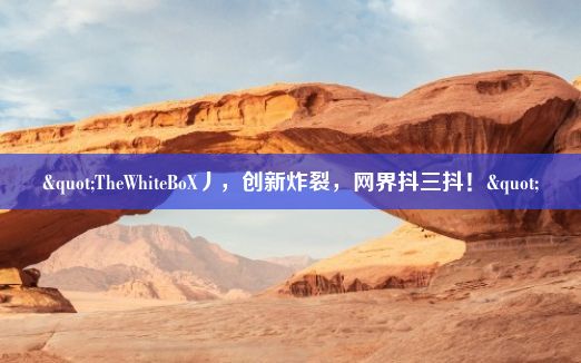 "TheWhiteBoX丿，创新炸裂，网界抖三抖！"