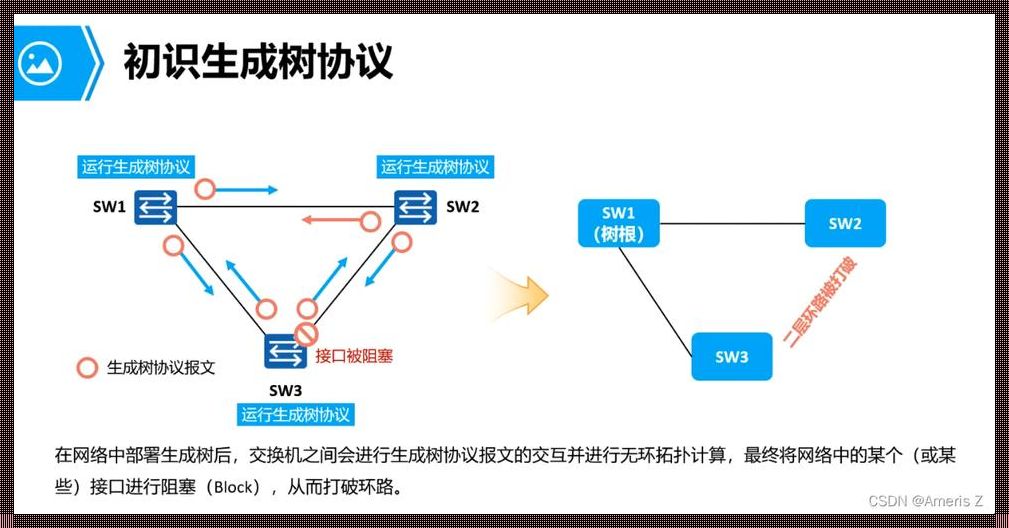 桥段选举：谁才是生成树的老大哥？