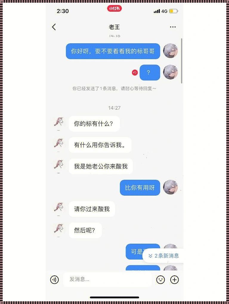 科技狂潮中的“共享双胞胎”：齐娜齐琳传奇