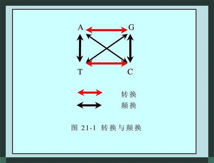 “旋转星辉，置换笑谈：科技界的翘楚戏法！”