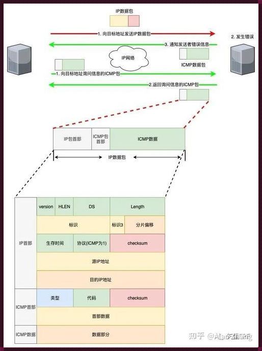 ICMP协议，网络层里的“贴心小棉袄”？