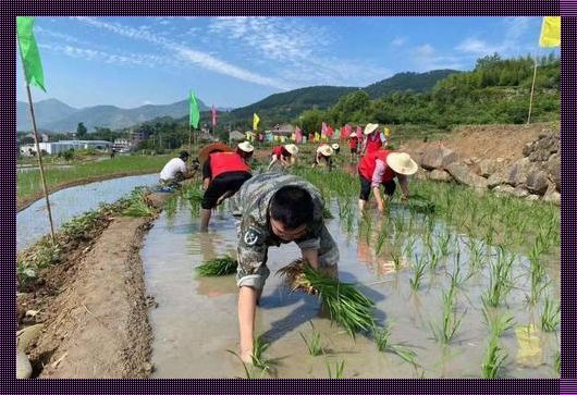 "耕云播雨，怪地也疯狂——科技新贵如何玩转不规则地块"