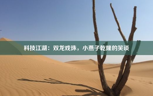 科技江湖：双龙戏珠，小燕子乾隆的笑谈