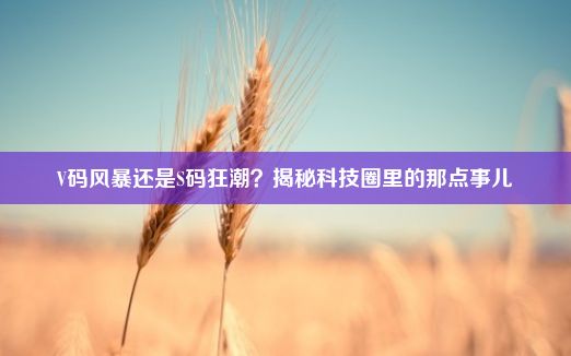 V码风暴还是S码狂潮？揭秘科技圈里的那点事儿