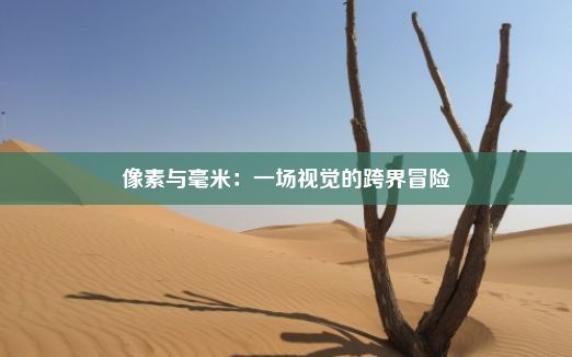 像素与毫米：一场视觉的跨界冒险