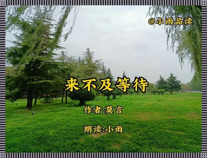 "时空穿梭：握不住的硅基情缘，梦幻泡影里的拥怀"