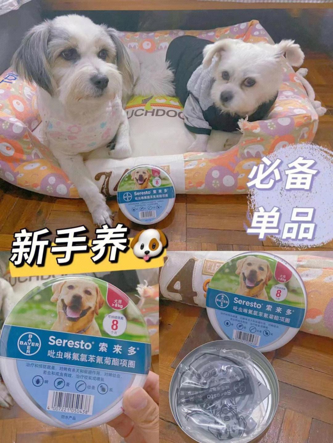 “犬界秘方，时代弄潮儿：笑谈‘人狗胶’奇闻”