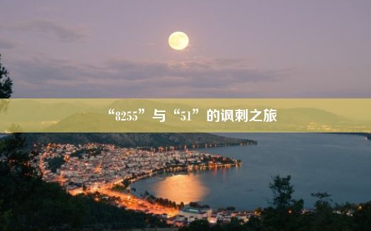 “8255”与“51”的讽刺之旅