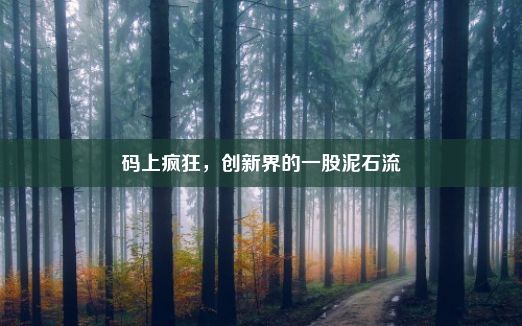 码上疯狂，创新界的一股泥石流