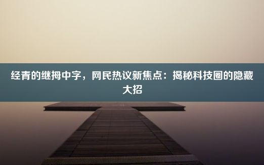 经青的继拇中字，网民热议新焦点：揭秘科技圈的隐藏大招