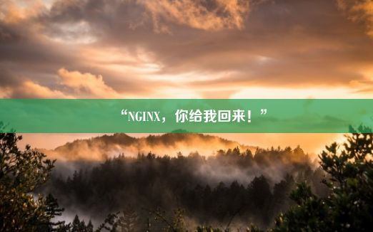 “NGINX，你给我回来！”