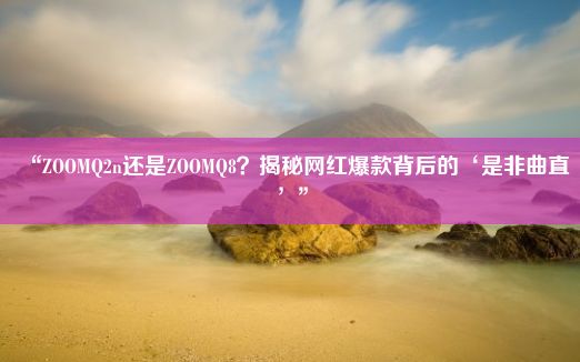 “ZOOMQ2n还是ZOOMQ8？揭秘网红爆款背后的‘是非曲直’”