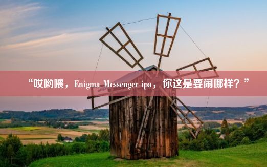 “哎哟喂，Enigma Messenger ipa，你这是要闹哪样？”