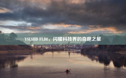 YSLSHD FLD8，闪耀科技界的奇葩之星