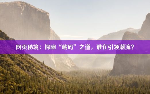 网页秘境：探幽“藏码”之道，谁在引领潮流？