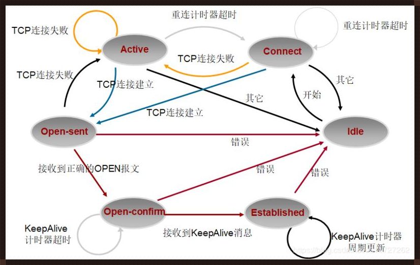 BGP之路由界的奥斯卡，算法之上的金像奖