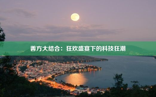 善方大结合：狂欢盛宴下的科技狂潮