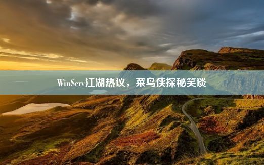 WinServ江湖热议，菜鸟侠探秘笑谈