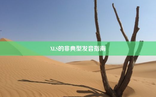 XLS的非典型发音指南