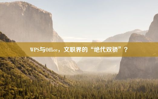 WPS与Office，文职界的“绝代双骄”？